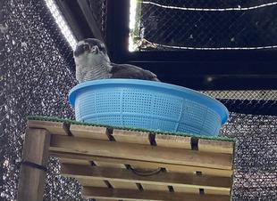 オオタカ初めてのマイホームづくり🏠①