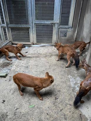 ドールとホース☆*+。