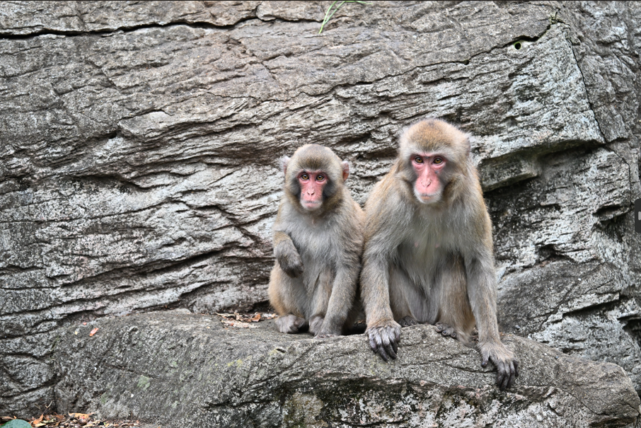 【9月～11月】ガイドツアー（毎週水曜）の写真