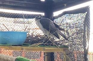 オオタカ初めてのマイホームづくり🏠②