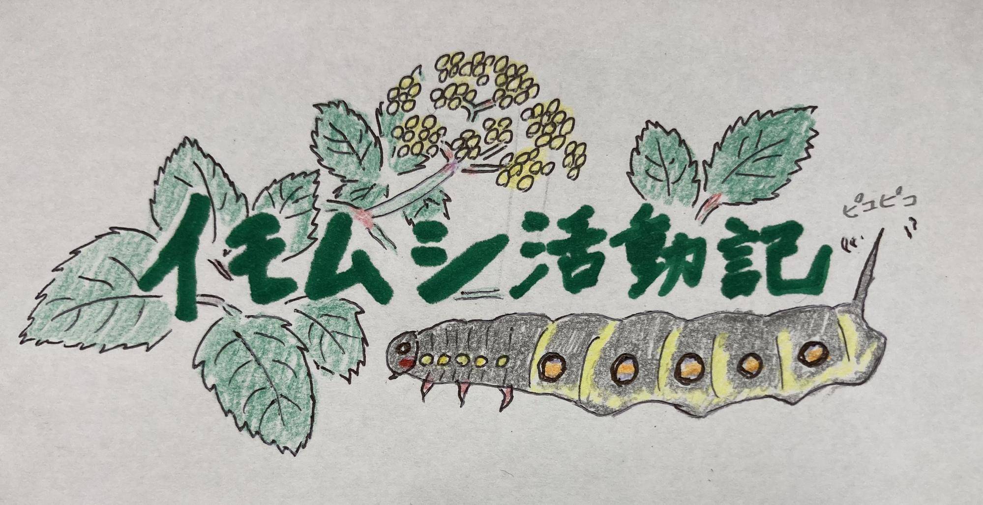🍃イモムシ活動記🐛の写真