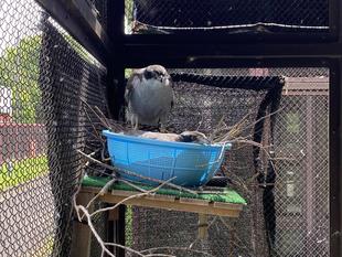 オオタカ初めてのマイホームづくり🏠③