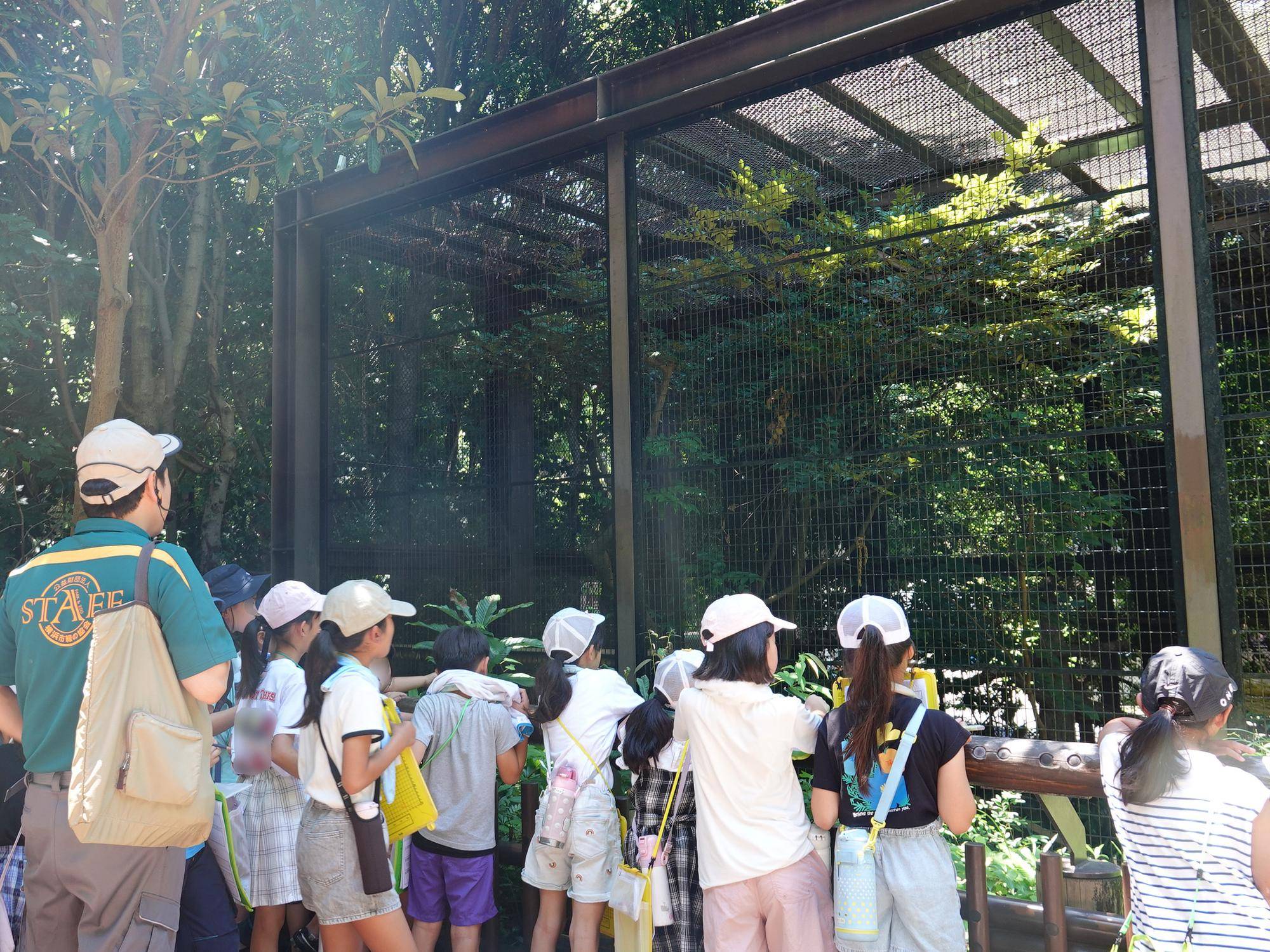 🐘「夏休み宿題教室」を実施しました!🐘の写真