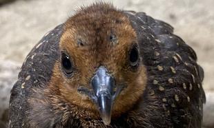 またまた生まれました！！！