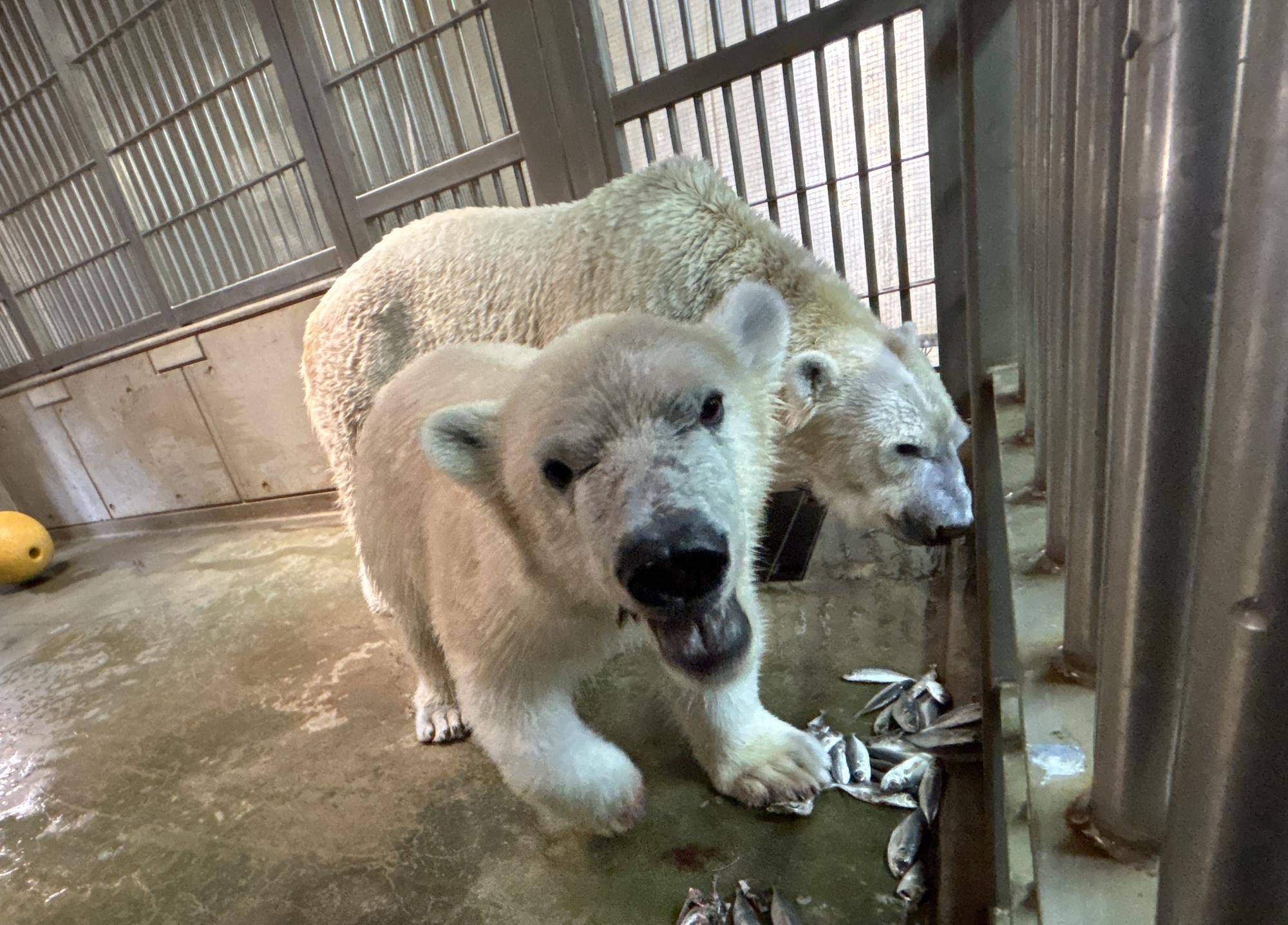 くいしん坊あるある???の写真