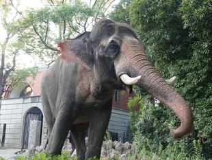 フードロス削減のためにできること