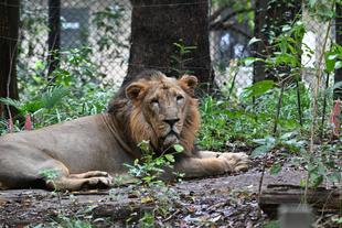 ヴェラ、安らかに