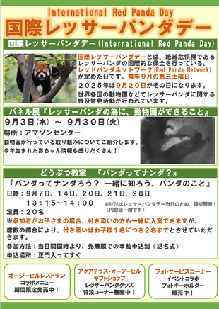 国際レッサーパンダデーイベント開催中！