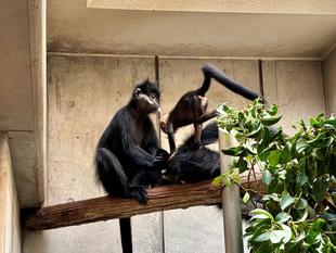 何をしているかな？