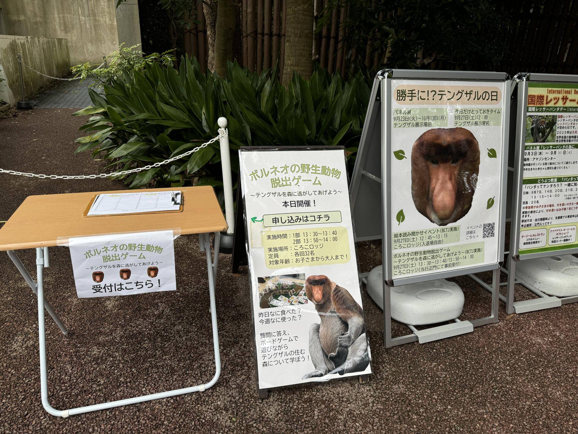 「勝手に!?テングザルの日」何やったの?☆*+。の写真