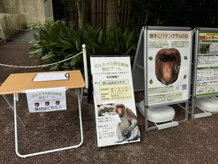 「勝手に!?テングザルの日」何やったの?☆*+。