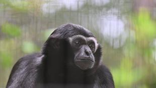 【12～2月】飼育員のとっておきタイム