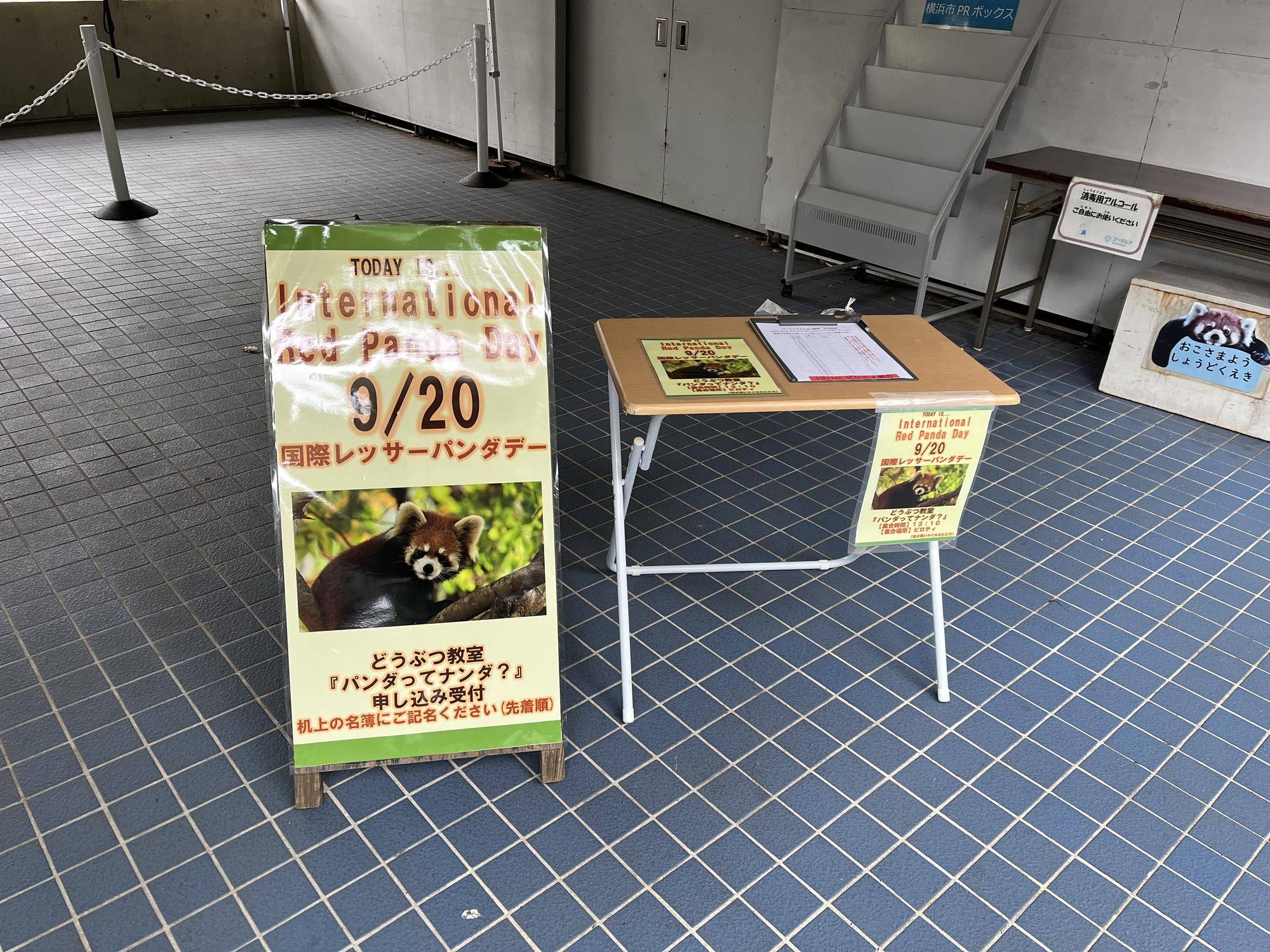国際レッサーパンダデー2025の写真