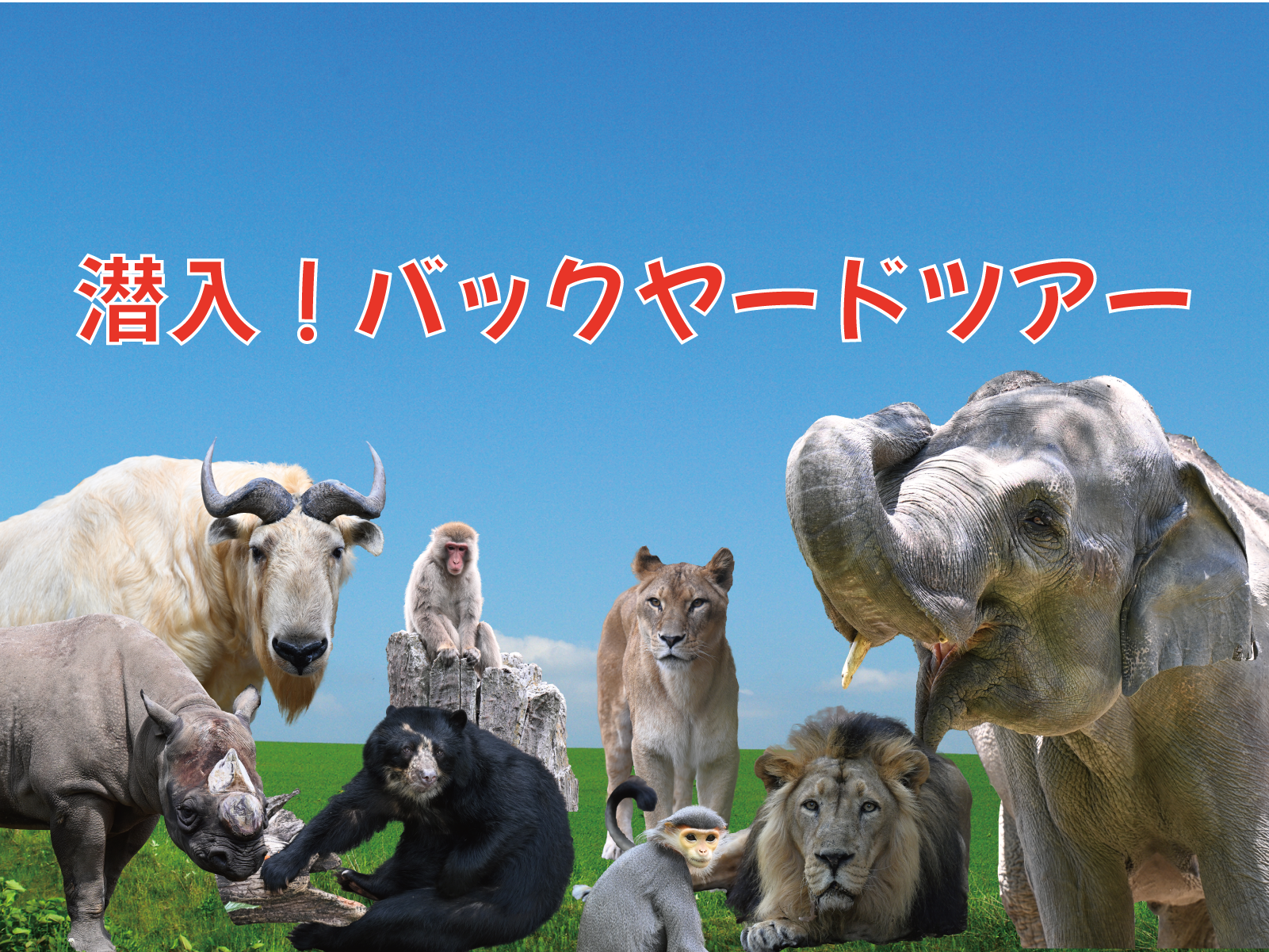 潜入!バックヤードツアーの写真