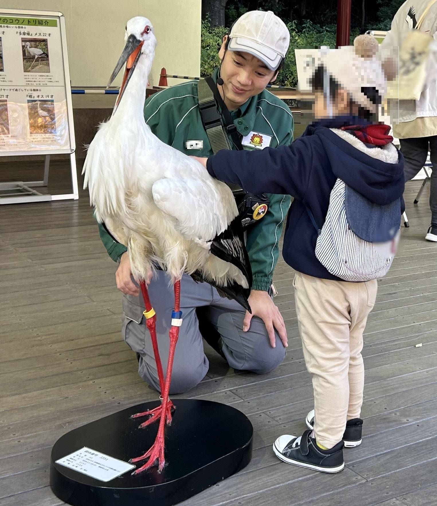 コウノトリまつりinズーラシアを開催しました♪の写真
