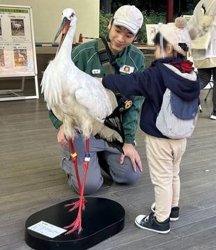コウノトリまつりinズーラシアを開催しました♪