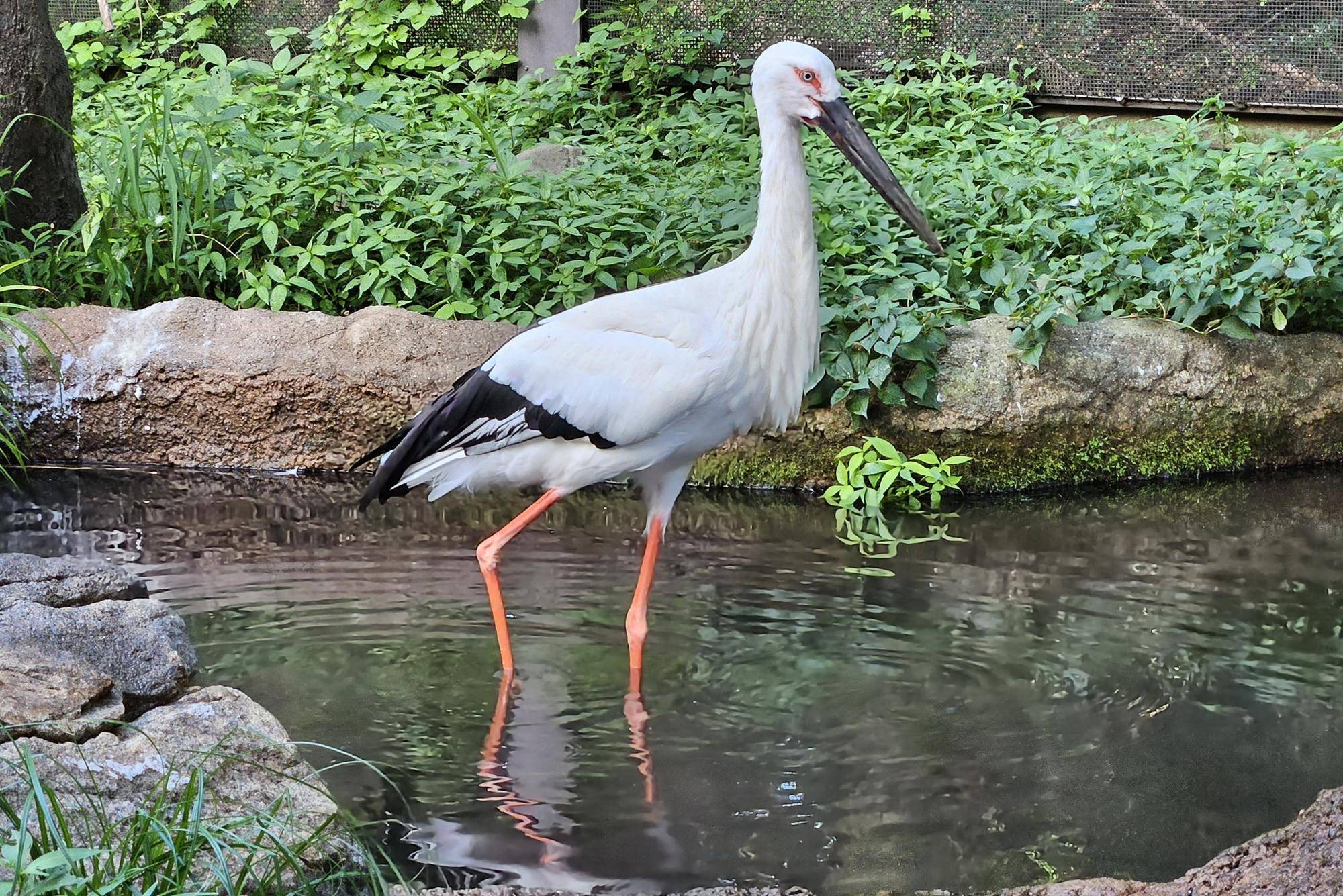 ありがとう！多摩三郎の写真