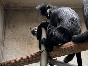 最近のミントのおはなし