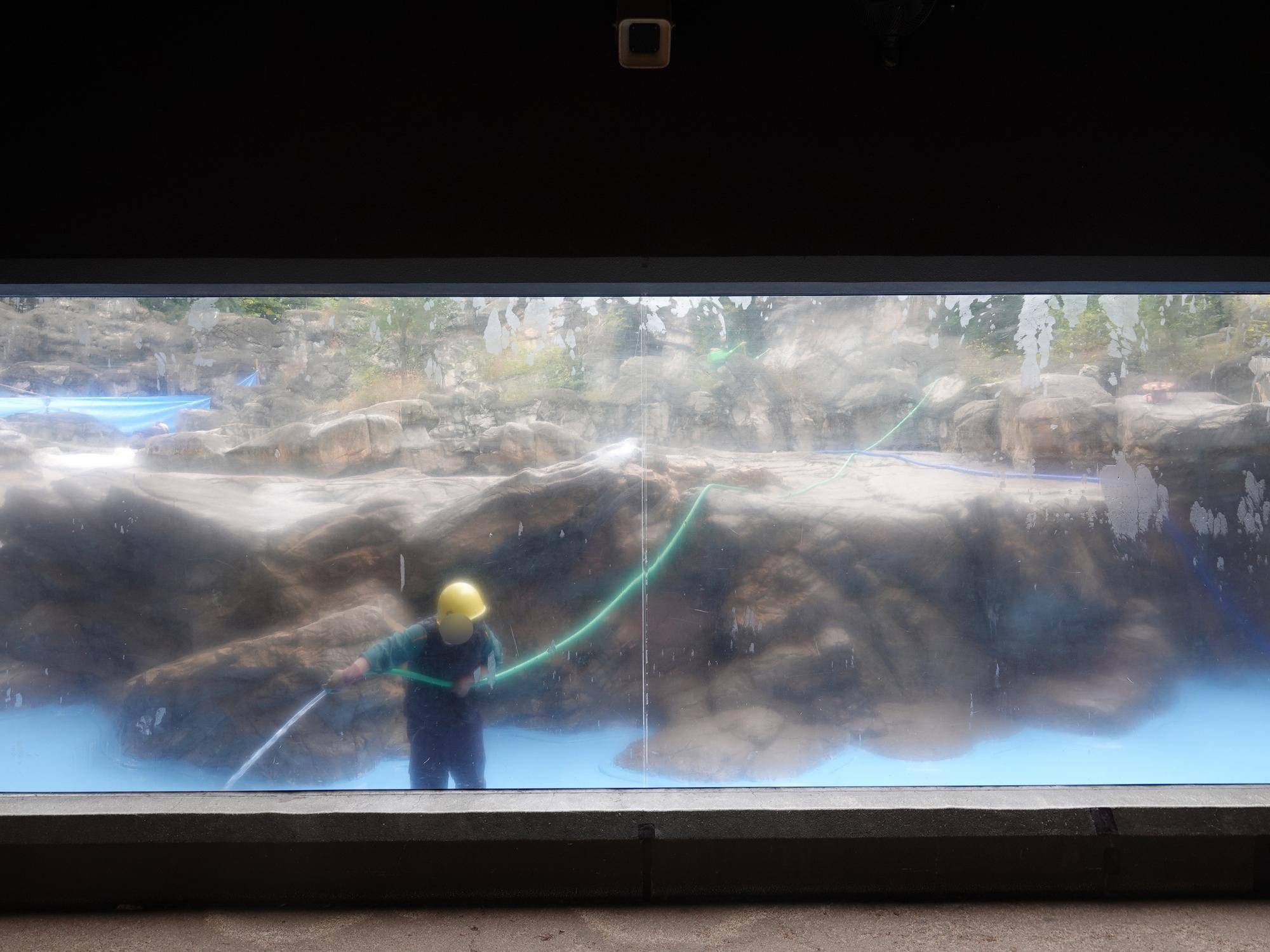休園日の動物園の写真