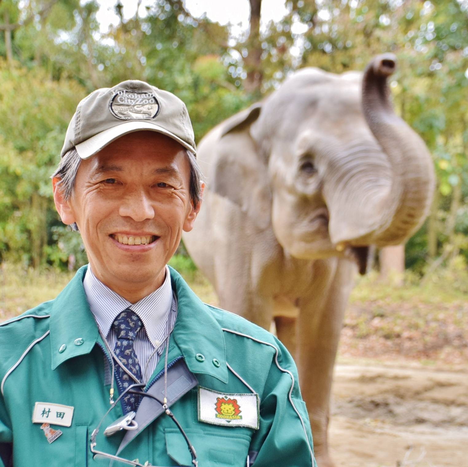 【11/4修正】公益財団法人日本動物園水族館協会主催　動物愛護フェス「生きている。を表現してみよう！」が開催されます！の写真