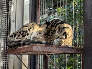 魅惑のモフモフ☁