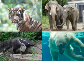 【1/8追記】ズーラシアセミナー ～動物園を深く楽しむ～の画像