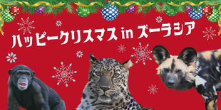 ハッピークリスマス in ズーラシア