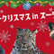 ハッピークリスマス in ズーラシアの画像