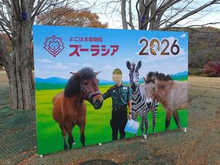 干支の撮影スポットで写真を撮ろう♪