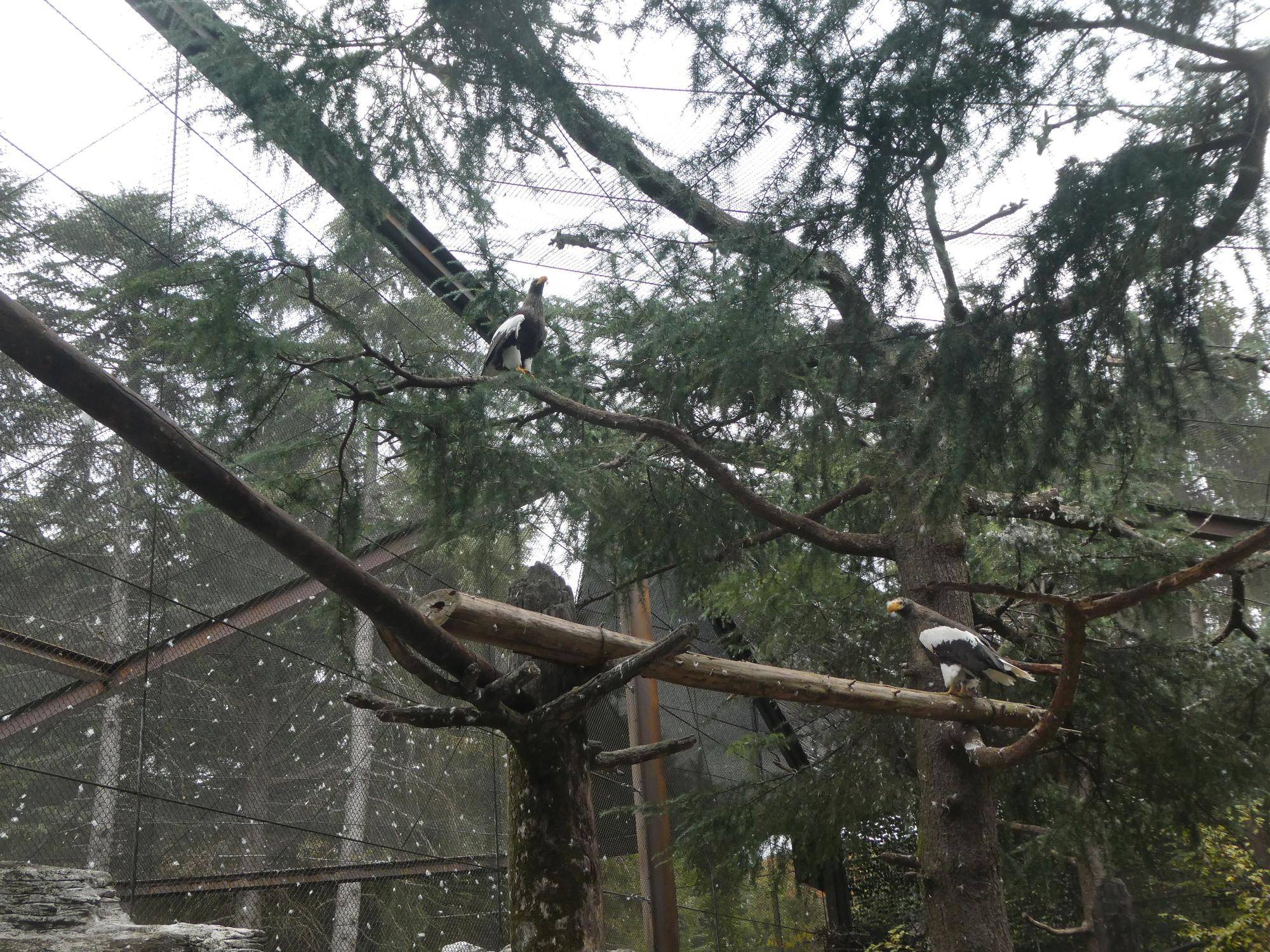 新設しました！の写真