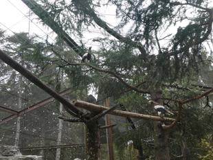 新設しました！