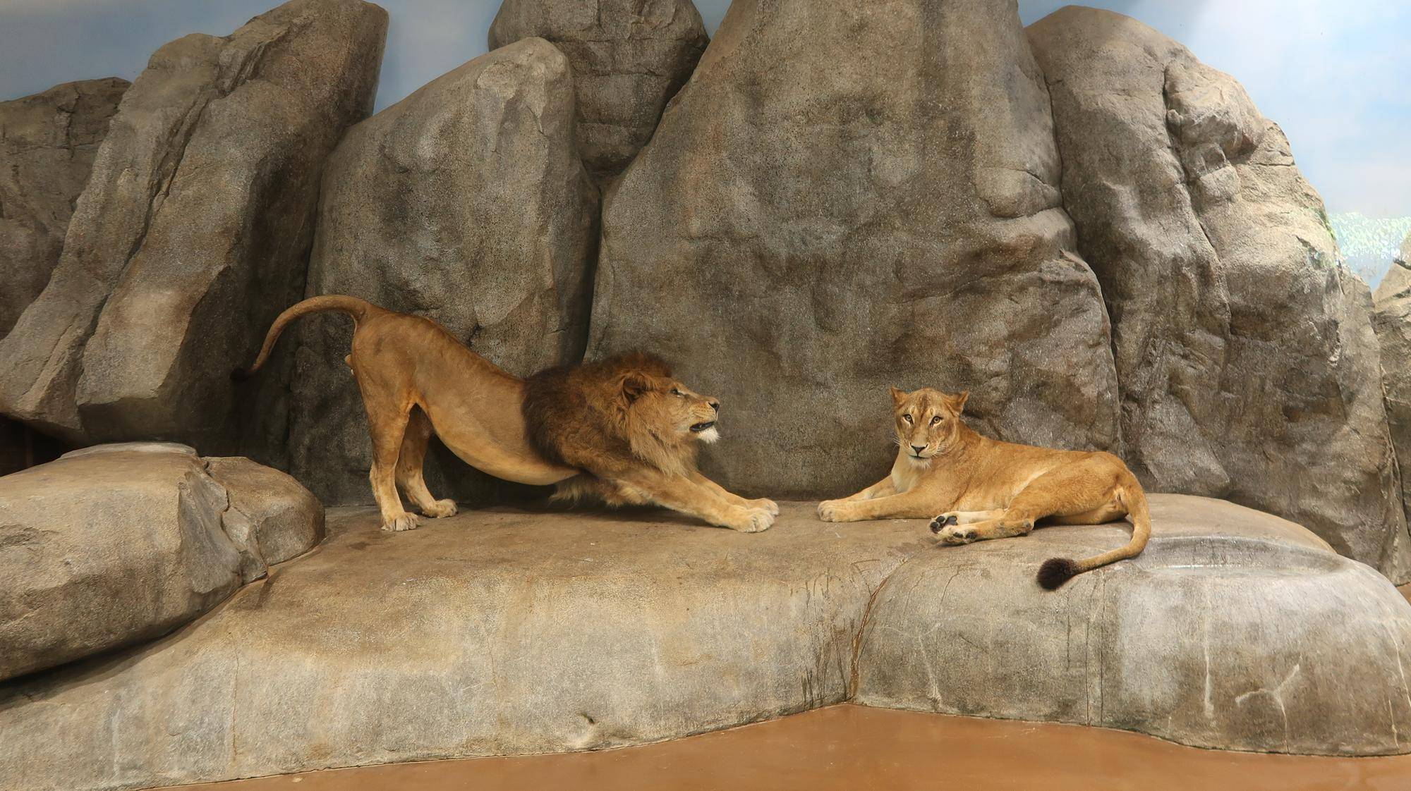 11/21追記【12月～2月】ガイドツアー（毎週水曜）の写真