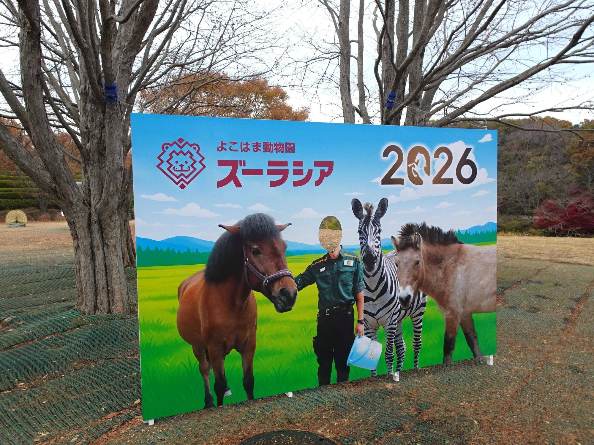 干支の記念撮影スポット、登場！～午年～の写真