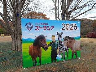 干支の記念撮影スポット、登場！～午年～