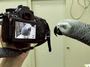 バードショー担当者のカメラより、2025年未公開ショット！📸