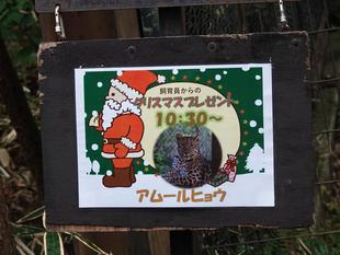 アムールヒョウのクリスマスガイド2025