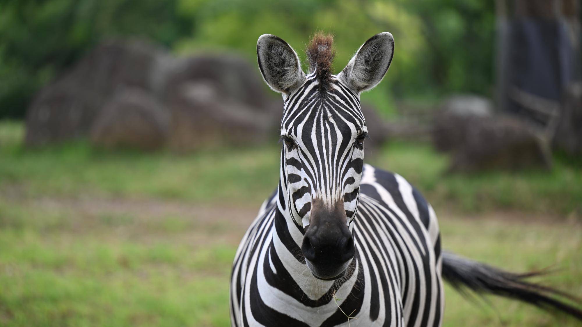 イベントガイド　12～2月の写真