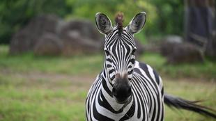 イベントガイド　12～2月