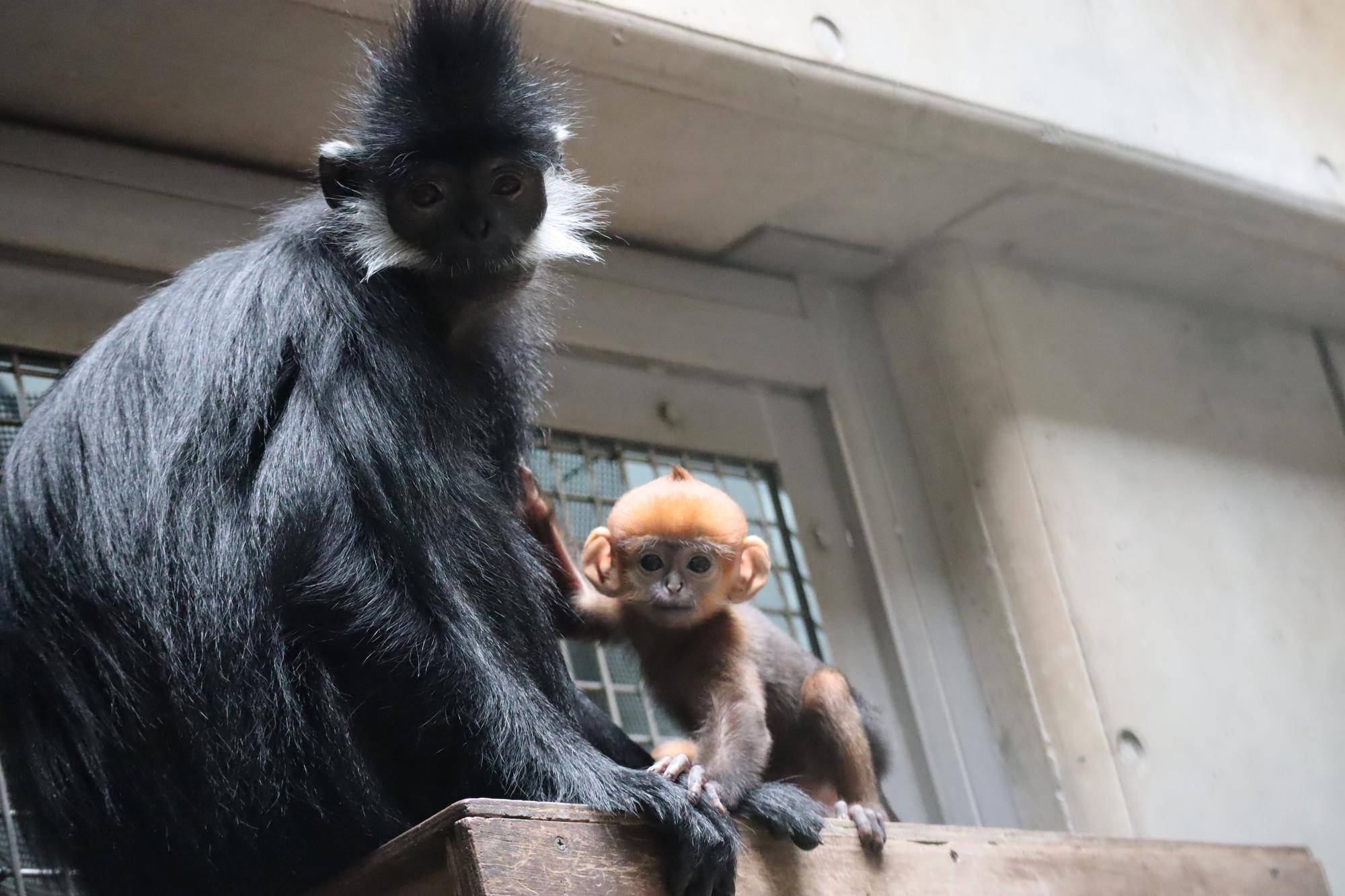 比べてみよう🍊🍊【色】の写真