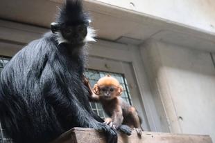 比べてみよう🍊🍊【色】