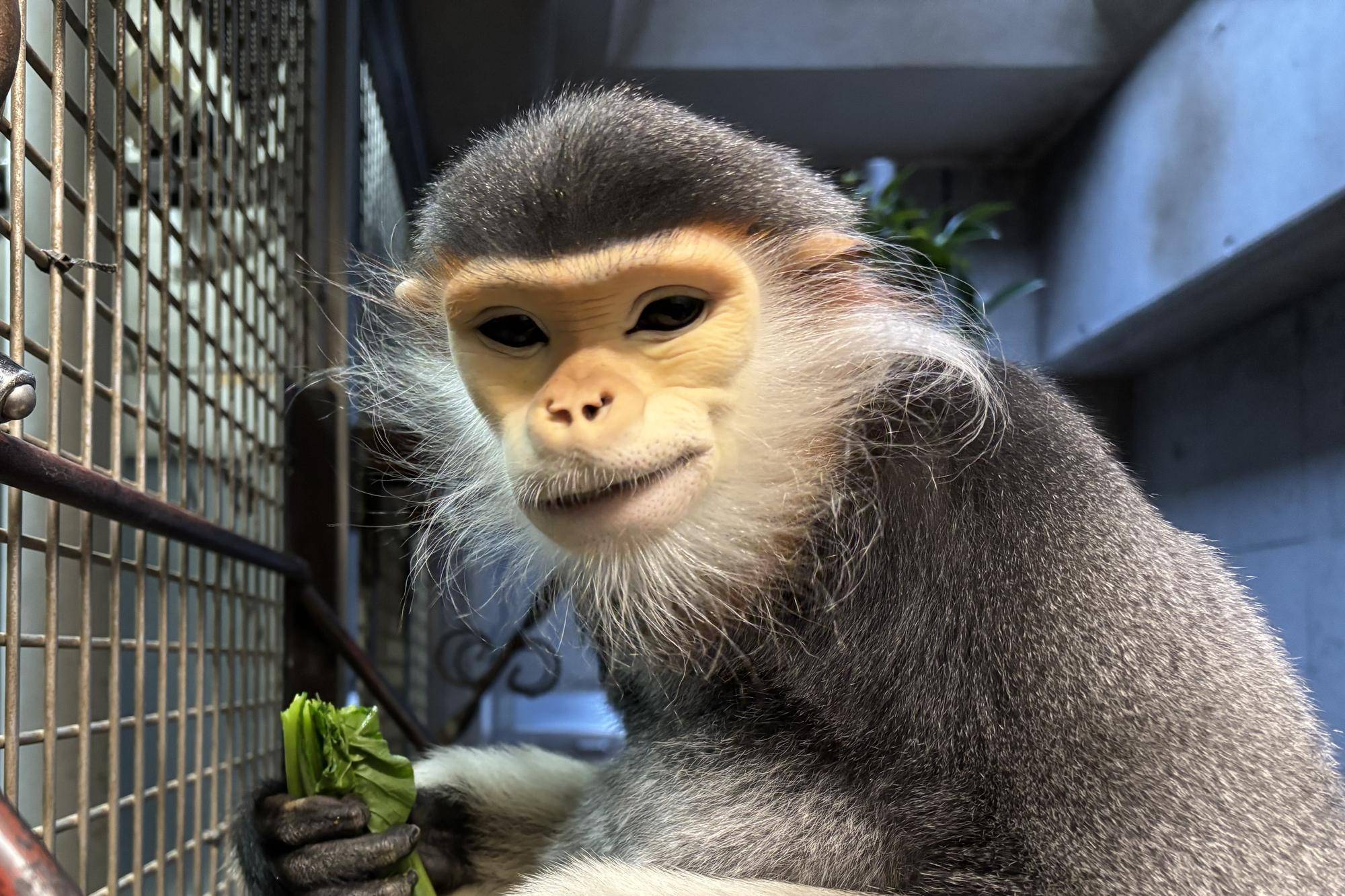 こだわりの食べ方🥬の写真
