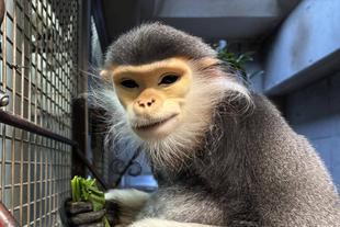 こだわりの食べ方🥬
