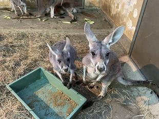 ムームーの最近