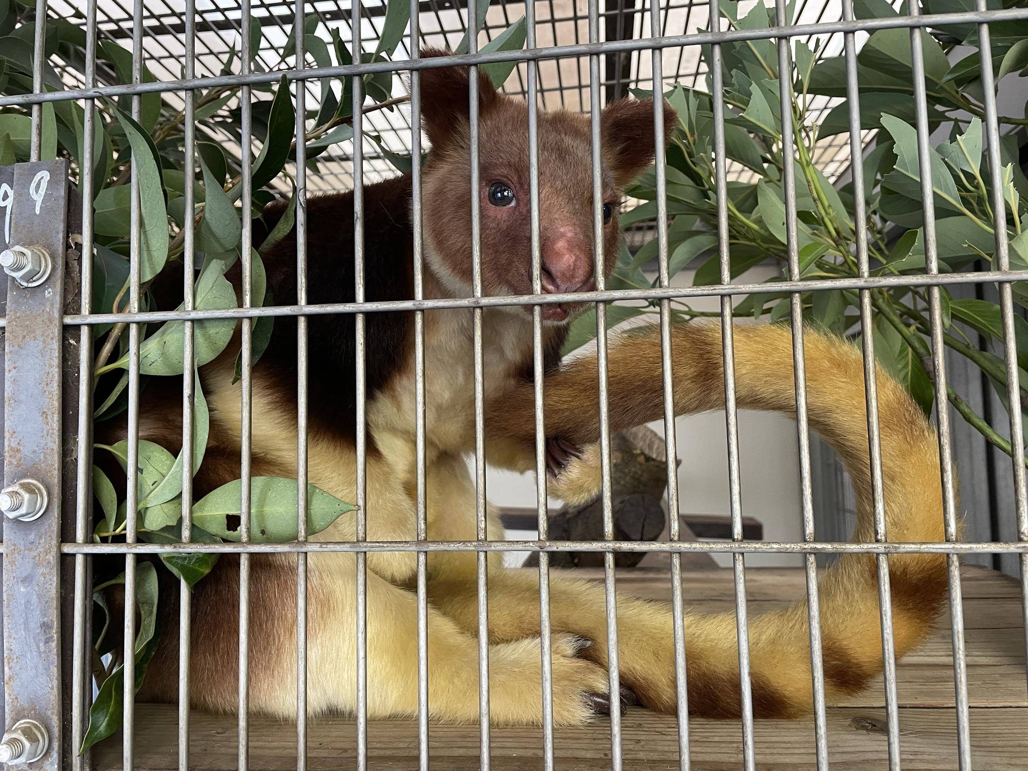 ☆★若さの秘訣☆★の写真