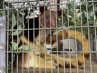 ☆★若さの秘訣☆★