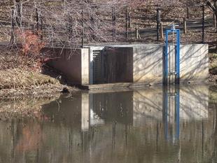 ～　雨、雨、降れ降れ！　～