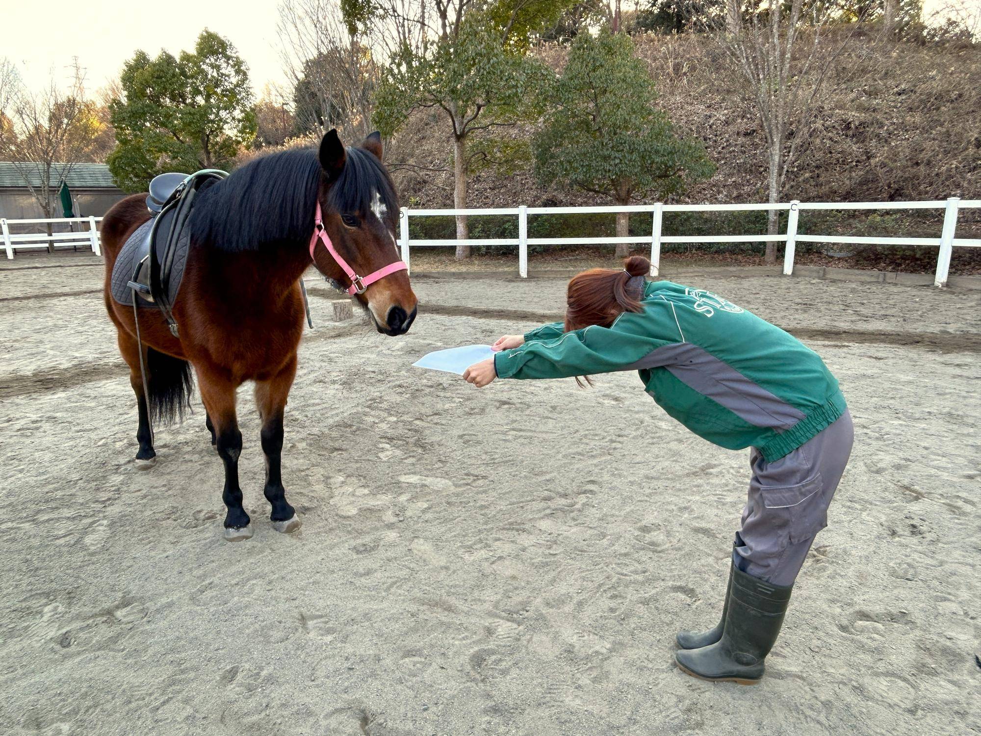 午年なので、馬たちの似顔絵描いてみた！～前編～の写真