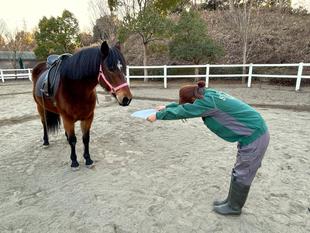 午年なので、馬たちの似顔絵描いてみた！～前編～