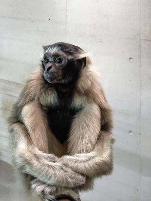 プロイ5歳になりました！