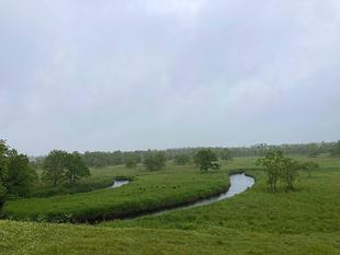 2月2日は世界湿地の日